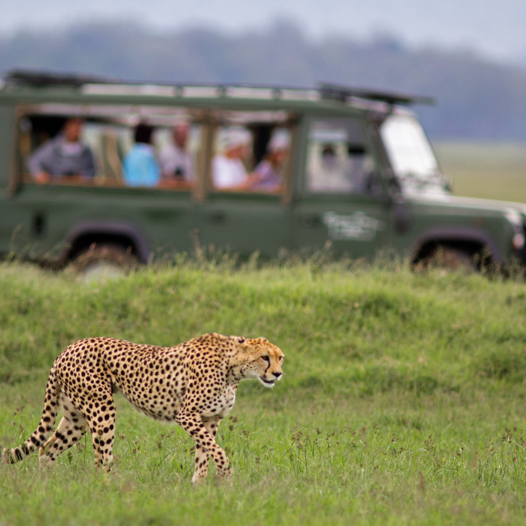 3.-Naturaleza.-Masai-Mara-Game-Reserve-3