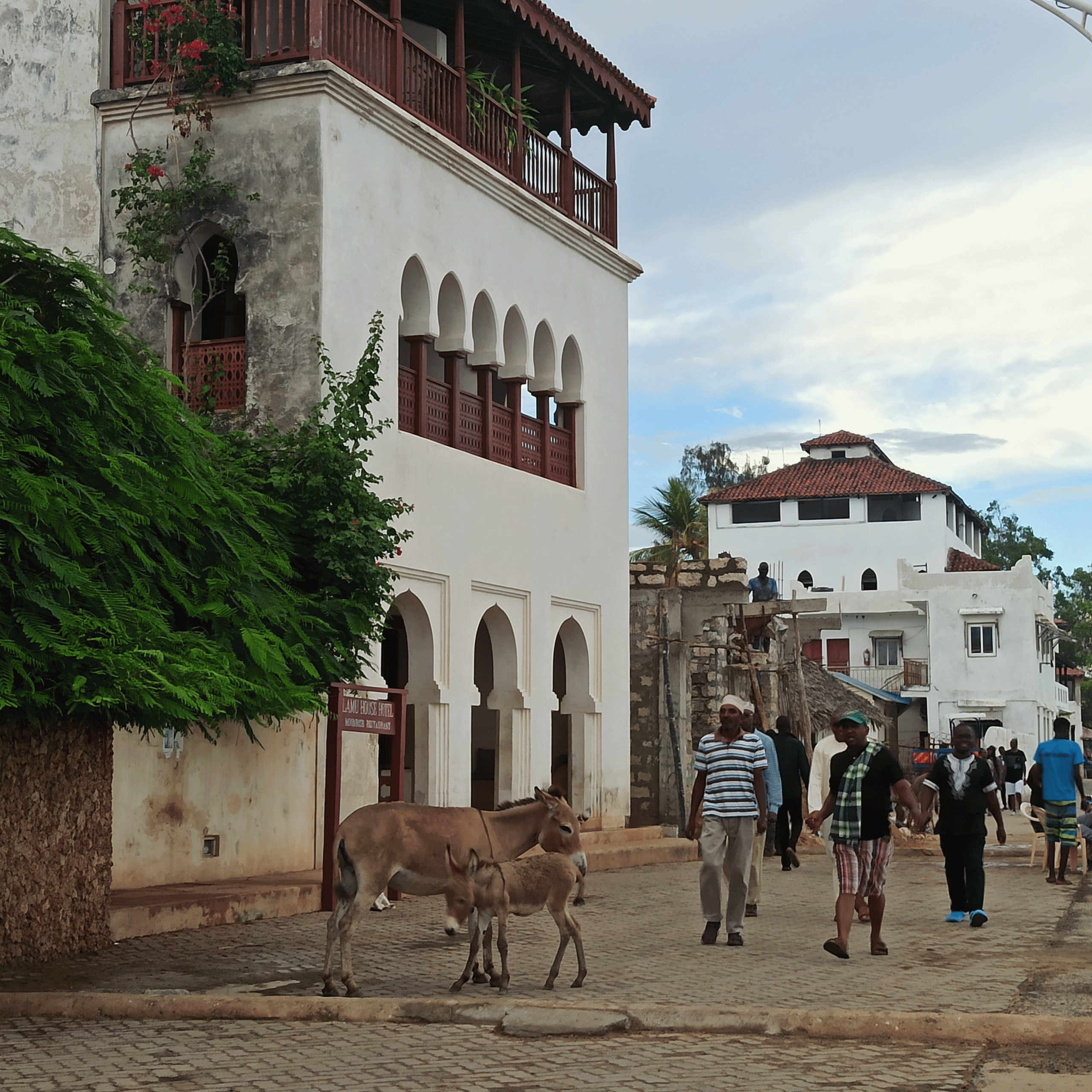 6.-Extensiones-de-Playa.-Isla-de-Lamu.